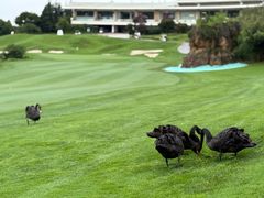 -阳光高尔夫俱乐部