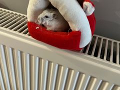 -宠爱我(南山店)