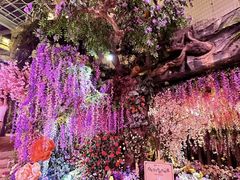 -韵姐牛奶甜品世家
