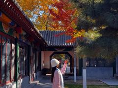 -护国法轮寺