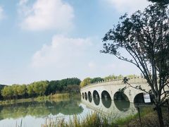 -昆山城市生态森林公园