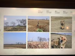 -盘龙城国家考古遗址公园