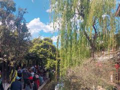 -丽江古城第一观景台