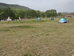 -大连铭湖国际观光牧场