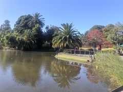 -墨尔本皇家植物园