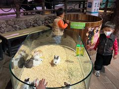 -正佳雨林生态植物园