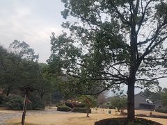 -陶祖圣境风景区