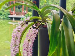 -云溪植物园