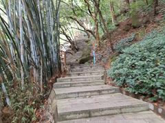 -火炉山森林公园