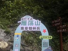 -雁荡山风景名胜区