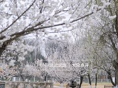 -国际非物质文化遗产博览园