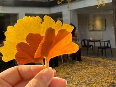 -自如ZSPACE四合院艺术餐厅