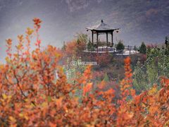 -周口店坡峰岭风景区