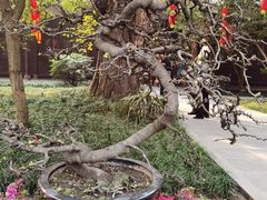 -成都杜甫草堂博物馆