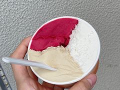 -Dip in Gelato(富民路店)