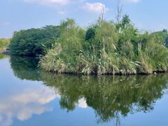 -白鹭湾湿地公园