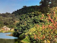 -南国桃园旅游度假区