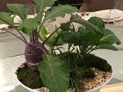 -茅庐·川粤精品私房菜(金沙遗址店)