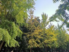 -陕西师范大学(雁塔校区)