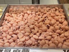 -喜点狮(江门大融城店)