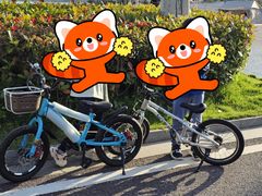 -九龙湖公园