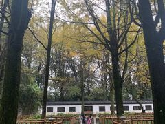 -西湖风景区十里琅珰-五云山