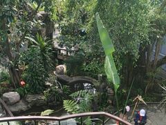 -北京植物园-展览温室