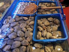 -必点海鲜·鲅鱼水饺(鞍山西道店)