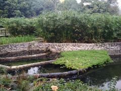 -成都市活水公园
