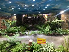 -凯德广场(学府店)