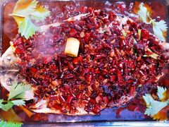 -三味鱼屋(琥珀山庄店)