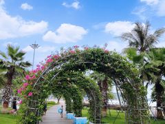 -大梅沙海滨公园