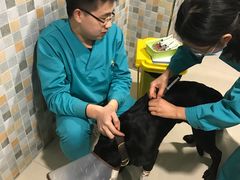 -骐奇宠物诊疗中心(南亭公路店)