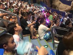 -芜湖新华联大白鲸海洋公园