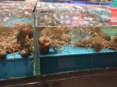 -阿伟海鲜楼·福建菜(延寿店)