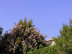 -森林公园(尖草坪区)