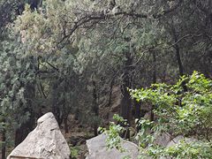 -泰山风景名胜区