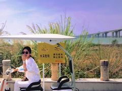 -芒洲湿地公园