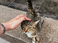 -龙华寺