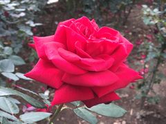 -人民公园(罗湖区)