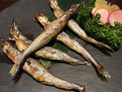 -石葵(锦业时代店)