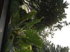 iphone_upload_pic-厦门宝龙铂尔曼大酒店·海鲜自助餐厅