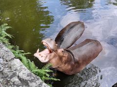 -海南热带野生动植物园