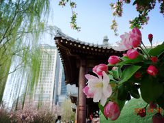 -元大都城垣遗址公园