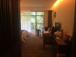 点击看大图 -CARR SALON