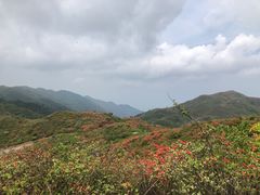 -大围山国家森林公园