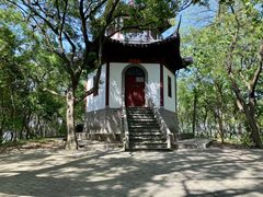 -上海佘山国家森林公园天马山园