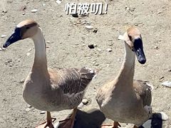 -成都欢乐谷