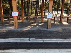 -帽儿山国家森林公园