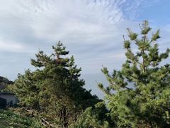 -南紀白浜 浜千鳥の湯 海舟